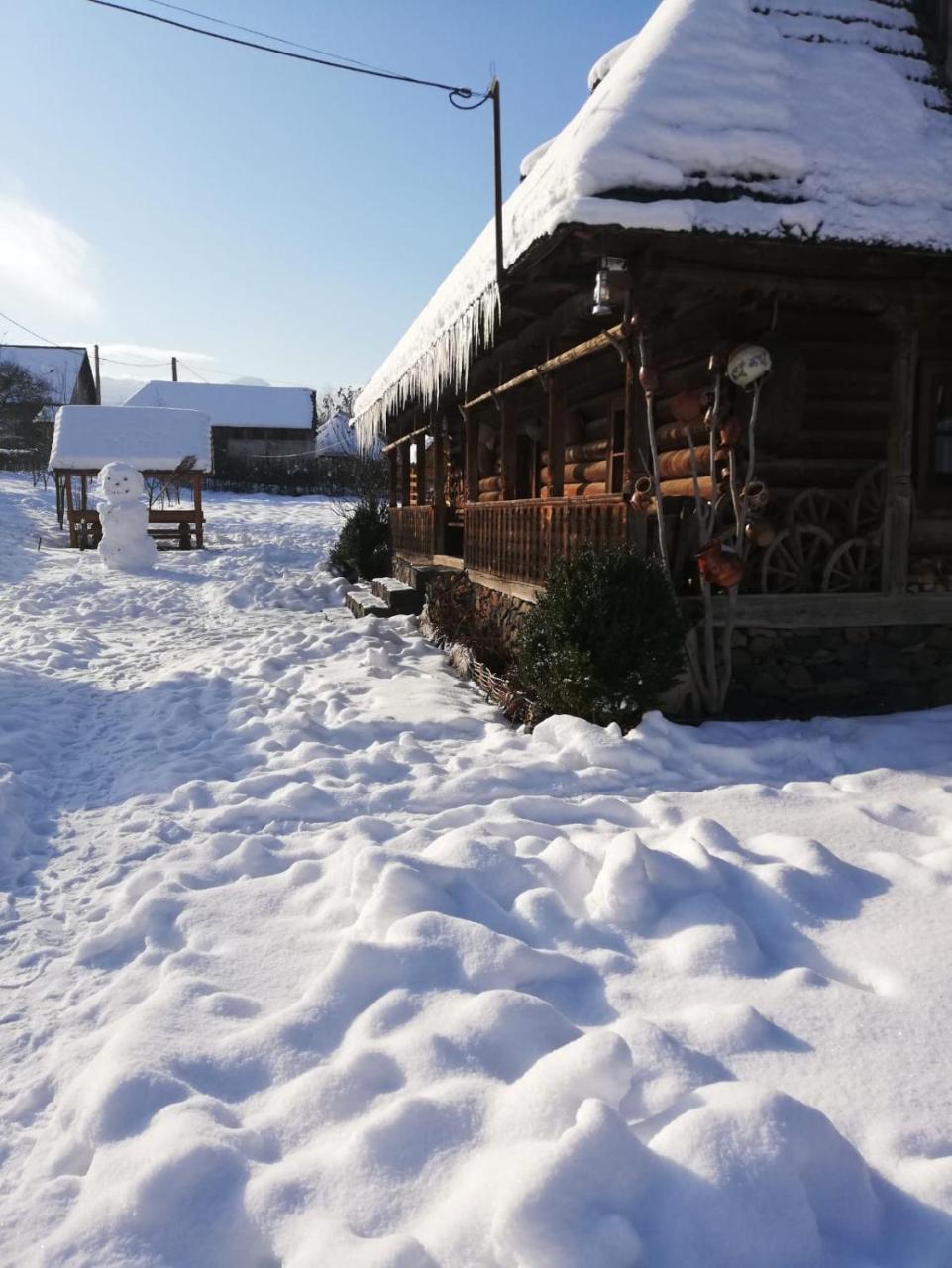 Pensiunea Marioara Hotel Breb Екстериор снимка